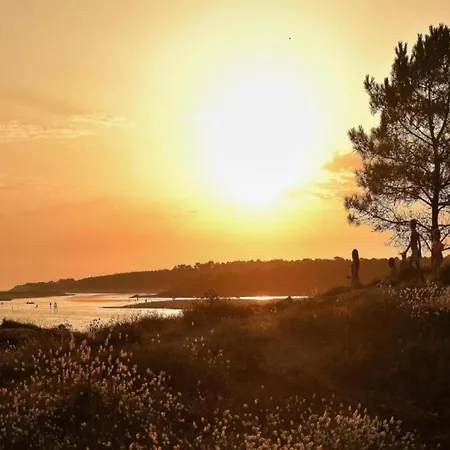 In Avrille Near Sandy Beaches