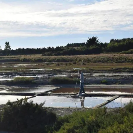 In Avrille Near Sandy Beaches Saint-Hilaire-la-Forêt