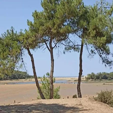 In Avrille Near Sandy Beaches