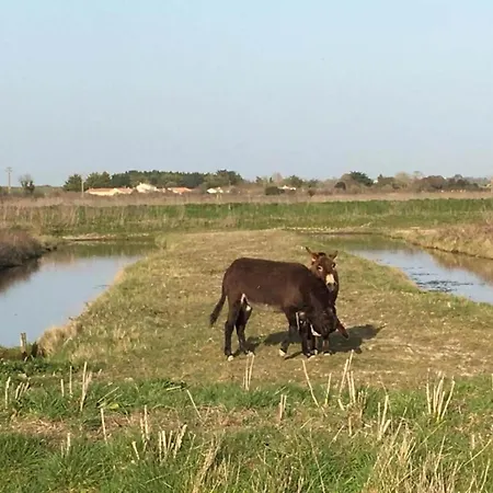 度假居 In Avrille Near Sandy Beaches *